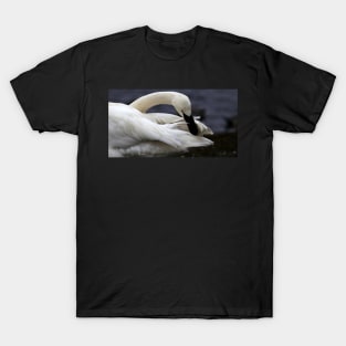 Trumpeter Swan T-Shirt